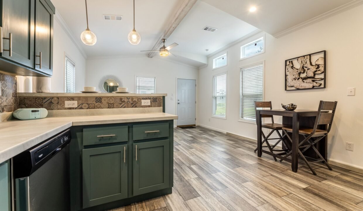 IN1650H11059 Kitchen 3