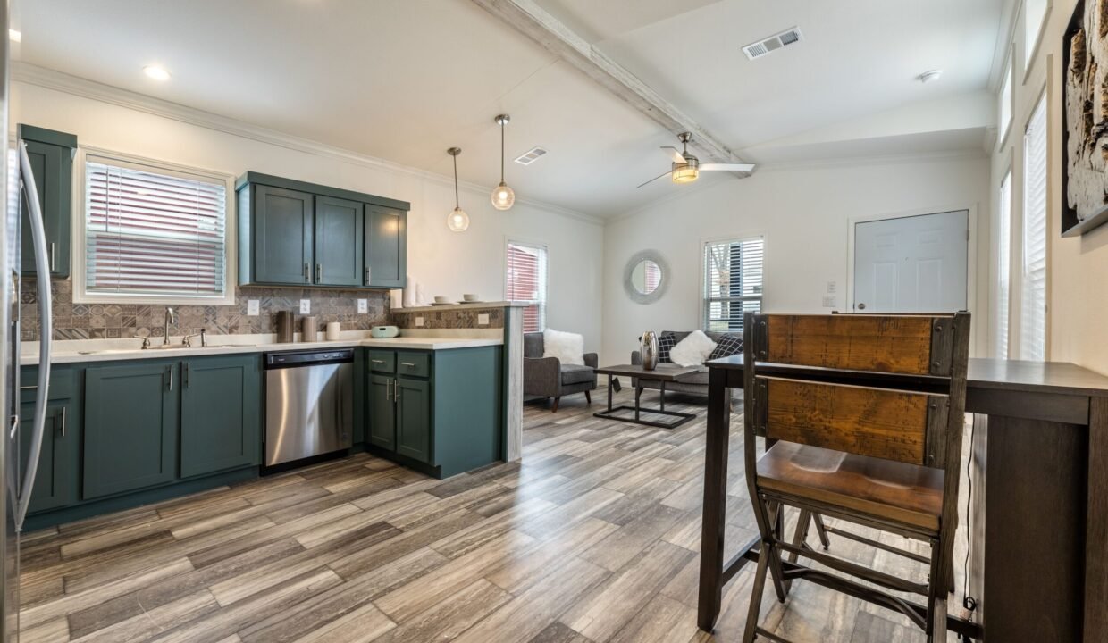 IN1650H11059 Kitchen 4