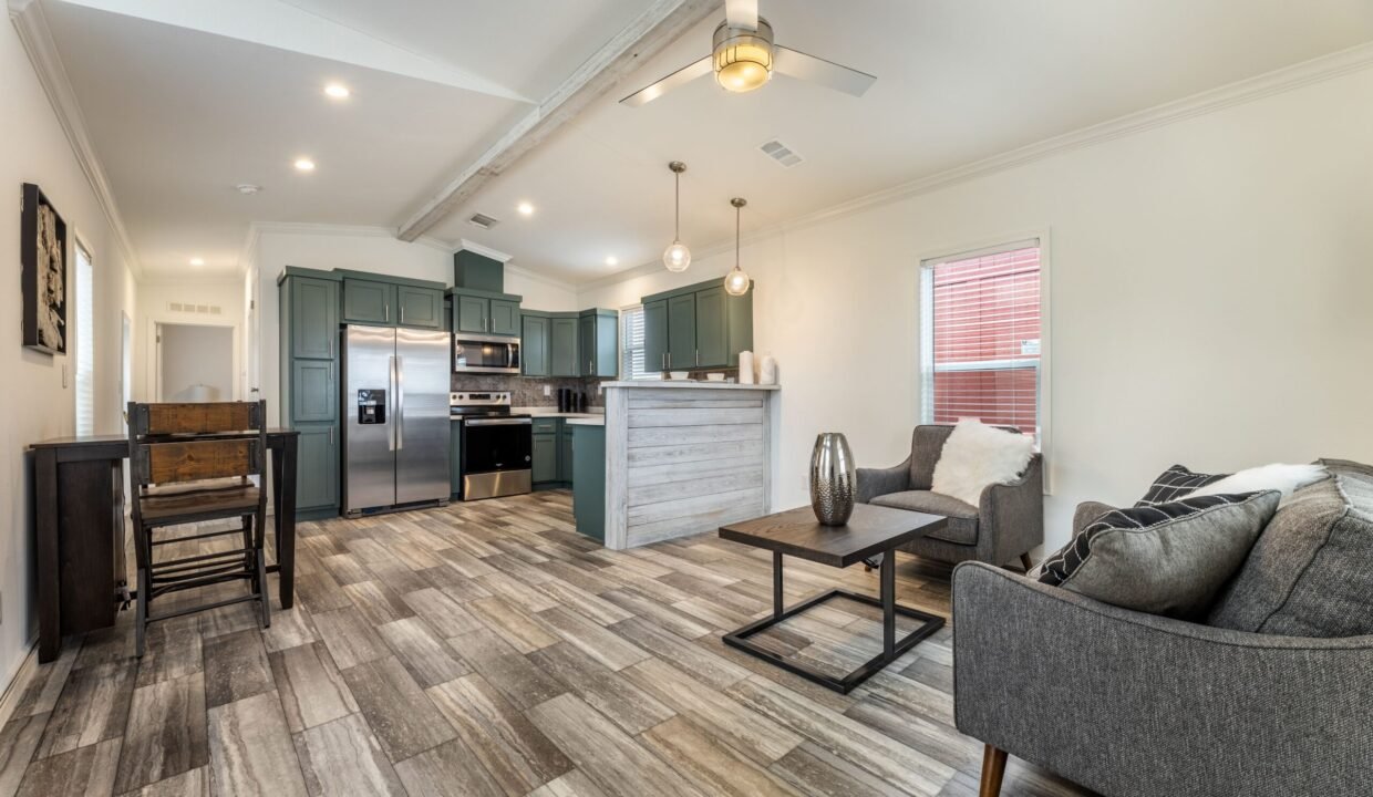 IN1650H11059 Living Room 1